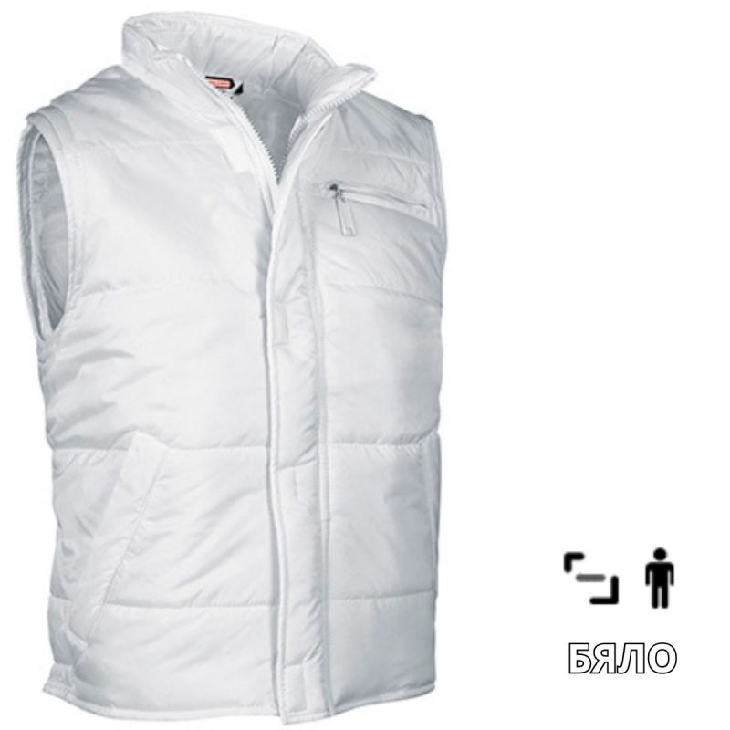 ��� ���� Artic